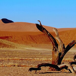 Deadvlei005