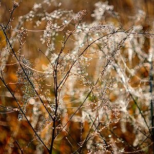 Herbst 122