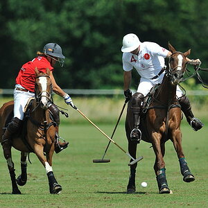 20090829 143852 polo schwifting