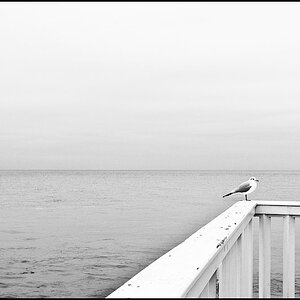 Fernweh 1bw