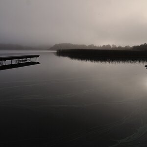 fogsteg