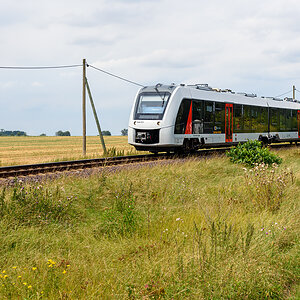 OF2_69442.jpg