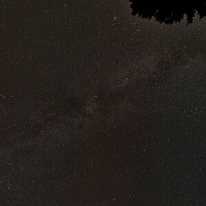 N8139428oly.jpg