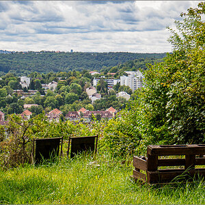P8254518.jpg