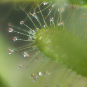 N8259985nikon.jpg