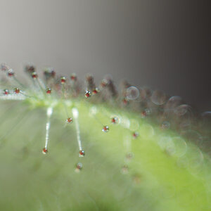 N8259982nikon.jpg