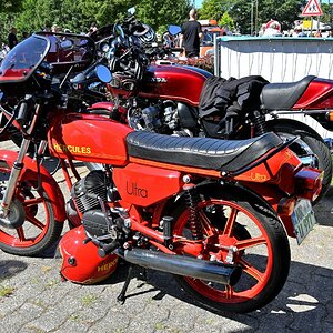Zwr24-03.JPG