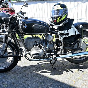 Zwr24-04.JPG