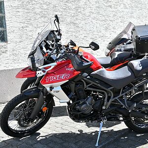 Zwr24-07.JPG