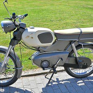 Zwr24-13.JPG