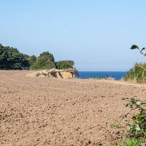 240828 Täglich-1.jpg