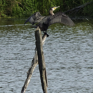 _1180846_DxOHAAxl.jpg
