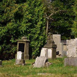 DSC_2596_00001n.jpg