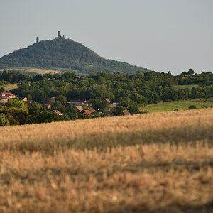 DSC_2608_00001n.jpg