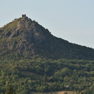 DSC_2623_00001n.jpg