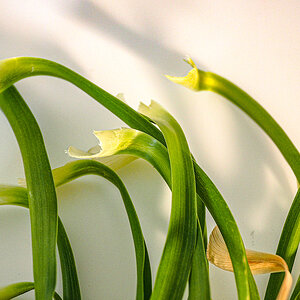 P9010011-Edit.jpg