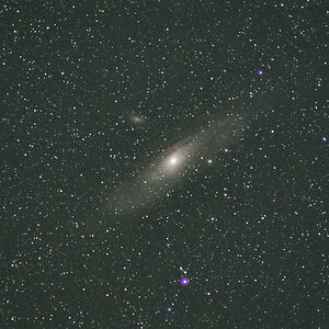 N8290138nikon-1.jpg