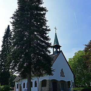 Z8A_0305vp-40t10l10s40p1.jpg