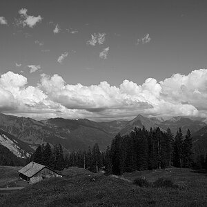 WZ7_3862.jpg