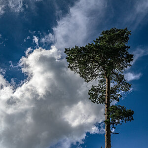 Wolken_Z7A_8763_12.jpg