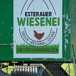 Esterauer Wiesenei.jpg