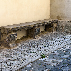 OF2_60110.jpg