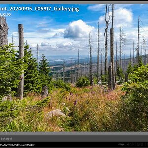 Screenshot 2024-09-15 112428.jpg