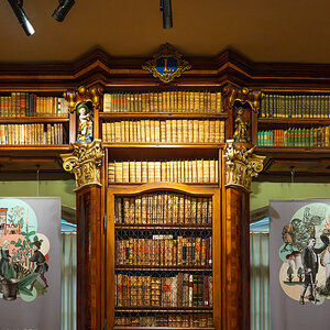 Z7H_2618-Verbessert-RR.jpg