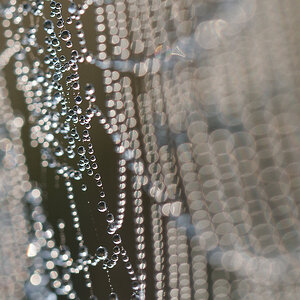 N9151370nikon.jpg