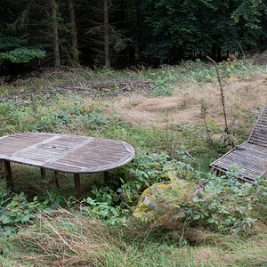 Z62_2564.jpg