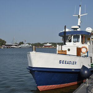 DSC_1507.JPG