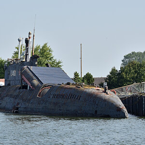 DSC_1544.JPG