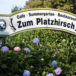 240917-003.jpg