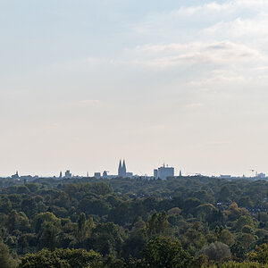 240917-013.jpg