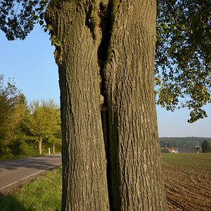 DSC_3308_00001n.jpg