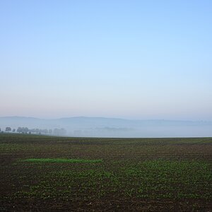 DSC_3327_00001n.jpg