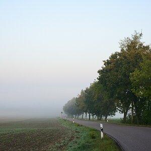 DSC_3330_00001_01n.jpg