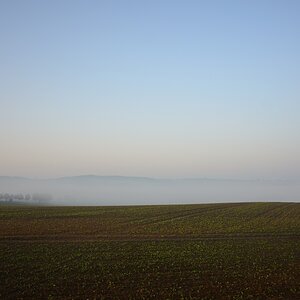 DSC_3334_00001n.jpg
