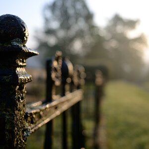 DSC_3343_00001n.jpg