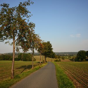 DSC_3355_00001n.jpg