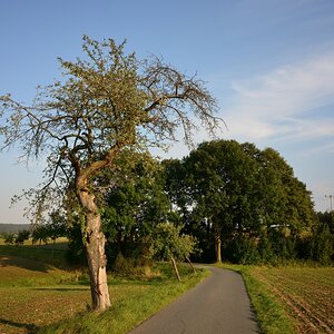 DSC_3356_00001n.jpg