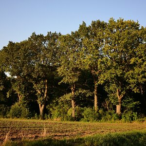 DSC_3357_00001n.jpg