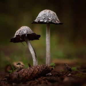 _DSC9511-Bearbeitet-1.jpg