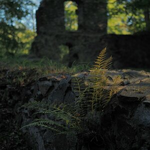 P9212246n.jpg