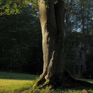 P9212259n.jpg