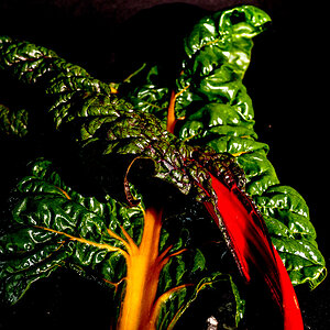 P9220012-Edit.jpg