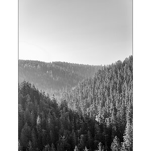ErzDSC_0059.jpg