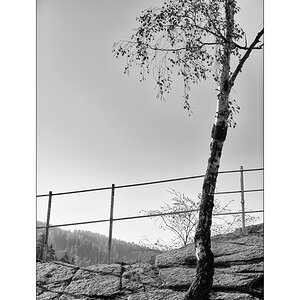 ErzDSC_0076.jpg