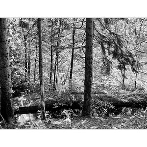 ErzDSC_0079.jpg