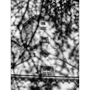 ErzDSC_0125.jpg